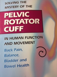 Pelvic Rotator Cuff