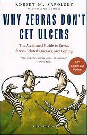 why zebras dont get ulcers big