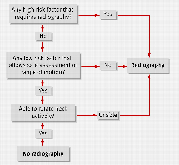 basketball resources