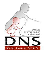 DNS course