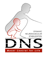 DNS Course B