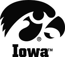 Iowa Tigerhawk Vinyl Decal